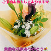 ヒメ日記 2025/06/16 16:05 投稿 ふゆか バイオレンス