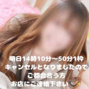 ヒメ日記 2025/07/03 23:55 投稿 ふゆか バイオレンス