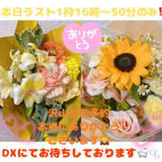 ヒメ日記 2025/07/31 11:05 投稿 ふゆか バイオレンス