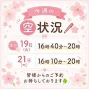 ヒメ日記 2026/05/19 10:55 投稿 ふゆか バイオレンス