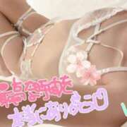 ヒメ日記 2025/05/14 00:15 投稿 ゆうき 多恋人倶楽部（山口）