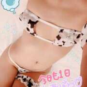 ヒメ日記 2025/11/19 00:15 投稿 ゆうき 多恋人倶楽部（山口）