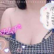 ヒメ日記 2025/12/23 12:36 投稿 三ツ谷 熟女の風俗最終章 新横浜店