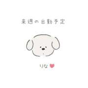 ヒメ日記 2026/04/11 17:25 投稿 りな 池袋デリヘル倶楽部