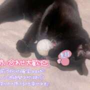 ヒメ日記 2024/12/20 10:57 投稿 奥村 おとなのわいせつ倶楽部 本厚木店