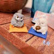 ヒメ日記 2025/01/22 23:55 投稿 奥村 おとなのわいせつ倶楽部 本厚木店