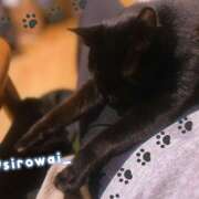 ヒメ日記 2025/01/27 01:08 投稿 奥村 おとなのわいせつ倶楽部 本厚木店