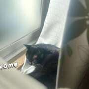 ヒメ日記 2025/09/18 17:49 投稿 奥村 おとなのわいせつ倶楽部 本厚木店