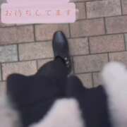 ヒメ日記 2026/03/17 12:00 投稿 奥村 おとなのわいせつ倶楽部 本厚木店