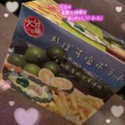 ヒメ日記 2025/03/17 20:11 投稿 琴葉（ことは） エスペランサ新館