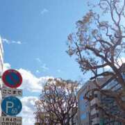 ヒメ日記 2025/03/19 16:20 投稿 れい 恋する人妻