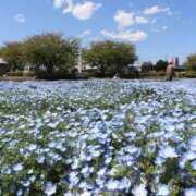 ヒメ日記 2025/05/11 17:05 投稿 れい 恋する人妻