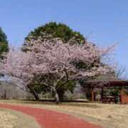 ヒメ日記 2025/03/25 08:16 投稿 ゆづき BLACK LABEL R's