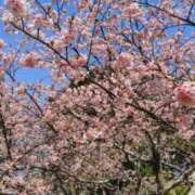 ヒメ日記 2025/03/26 08:53 投稿 ゆづき BLACK LABEL R's