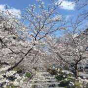 ヒメ日記 2025/03/31 06:44 投稿 ゆづき BLACK LABEL R's