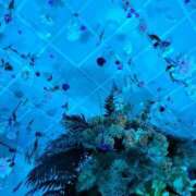 ヒメ日記 2025/04/19 07:45 投稿 ゆづき BLACK LABEL R's