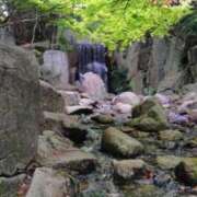 ヒメ日記 2025/04/30 15:14 投稿 ゆづき BLACK LABEL R's