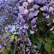 ヒメ日記 2025/05/01 12:37 投稿 ゆづき BLACK LABEL R's