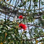 ヒメ日記 2025/05/03 20:24 投稿 ゆづき BLACK LABEL R's