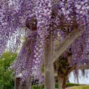 ヒメ日記 2025/05/05 08:03 投稿 ゆづき BLACK LABEL R's