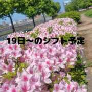 ヒメ日記 2025/05/11 08:20 投稿 ゆづき BLACK LABEL R's