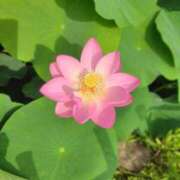 ヒメ日記 2025/06/21 14:05 投稿 ゆづき BLACK LABEL R's