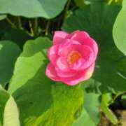 ヒメ日記 2025/06/22 21:43 投稿 ゆづき BLACK LABEL R's