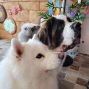 ヒメ日記 2025/06/27 20:27 投稿 ゆづき BLACK LABEL R's