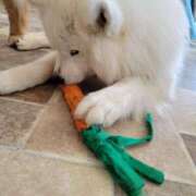 ヒメ日記 2025/06/28 07:15 投稿 ゆづき BLACK LABEL R's