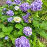 ヒメ日記 2025/06/30 20:27 投稿 ゆづき BLACK LABEL R's