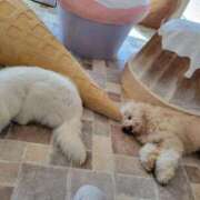 ヒメ日記 2025/07/05 07:33 投稿 ゆづき BLACK LABEL R's