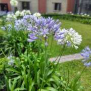 ヒメ日記 2025/07/06 07:01 投稿 ゆづき BLACK LABEL R's