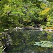 ヒメ日記 2025/07/08 06:46 投稿 ゆづき BLACK LABEL R's