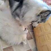 ヒメ日記 2025/07/08 09:52 投稿 ゆづき BLACK LABEL R's