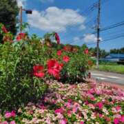 ヒメ日記 2025/10/02 09:42 投稿 ゆづき BLACK LABEL R's