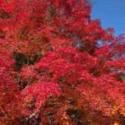 ヒメ日記 2025/11/16 09:06 投稿 ゆづき BLACK LABEL R's