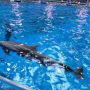 ヒメ日記 2025/11/26 13:49 投稿 ゆづき BLACK LABEL R's