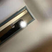 ヒメ日記 2025/09/04 08:30 投稿 真矢-まや【FG系列】 ほんつま 町田/相模原店