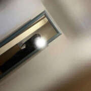 ヒメ日記 2026/01/20 00:30 投稿 真矢-まや【FG系列】 ほんつま 町田/相模原店