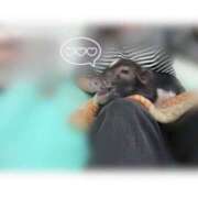 ヒメ日記 2026/01/30 10:01 投稿 真矢-まや【FG系列】 ほんつま 町田/相模原店