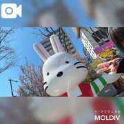 ヒメ日記 2026/04/11 20:39 投稿 かぐら(15000) 原価デリヘルcospa（コスパ）