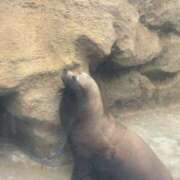 ヒメ日記 2026/02/25 21:46 投稿 おとは(8000) 原価デリヘルcospa（コスパ）