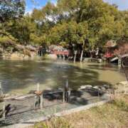 おとは(8000) 本日おやすみです🐥⸒⸒ 原価デリヘルcospa（コスパ）