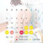 ヒメ日記 2024/12/19 20:02 投稿 ひな LEVEL1