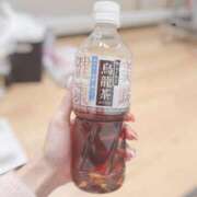 ヒメ日記 2024/12/28 01:01 投稿 ひな LEVEL1