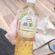 ヒメ日記 2025/01/20 19:51 投稿 ひな LEVEL1