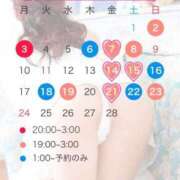 ヒメ日記 2025/02/06 12:02 投稿 ひな LEVEL1