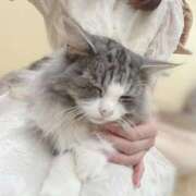 ヒメ日記 2025/09/04 23:01 投稿 ひな LEVEL1