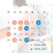 ヒメ日記 2025/11/05 13:01 投稿 ひな LEVEL1