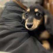 ヒメ日記 2026/01/13 20:21 投稿 くらげ LEVEL1